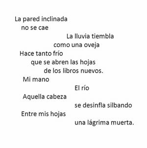 GDiego