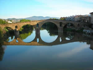 puente Arga en Puente La reina