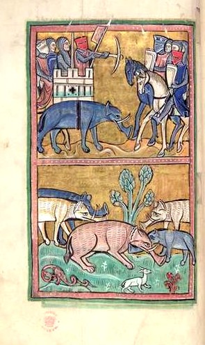 Bestiario 