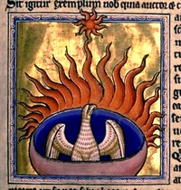 Fénix